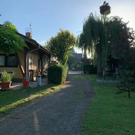 Im Spreewald * Luebbenau