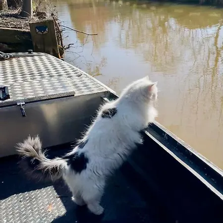 شقة Im Spreewald *