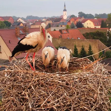 Im Spreewald شقة لوبنو