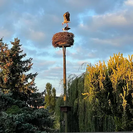 شقة Im Spreewald