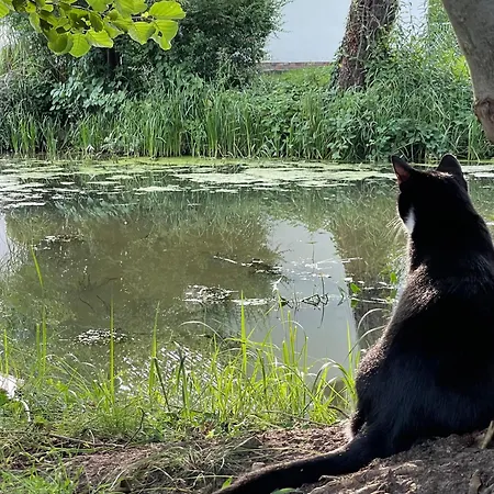 شقة Im Spreewald *